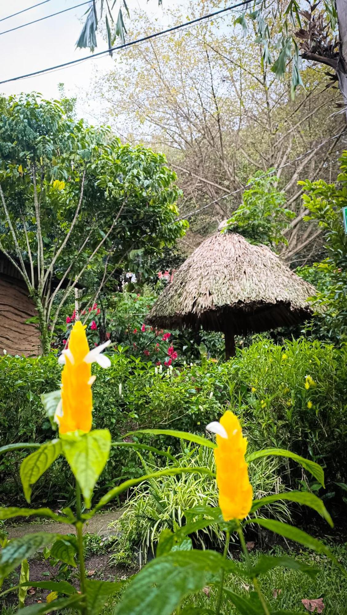 Eco-Hotel Mayachik San Juan La Laguna Extérieur photo